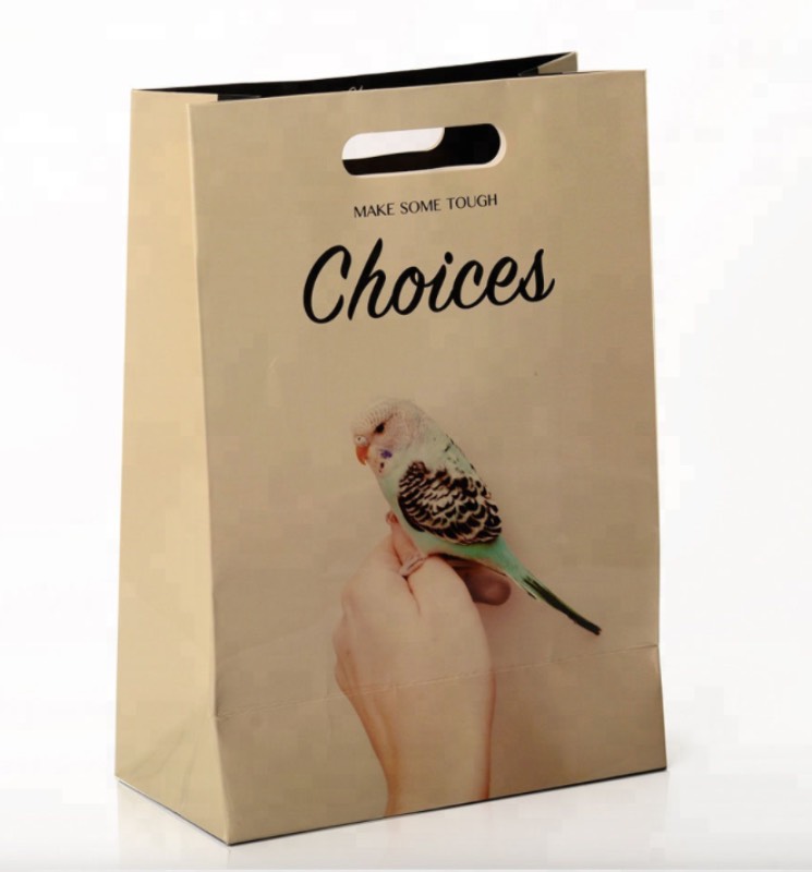 Sac en kraft blanc et poignées découpées